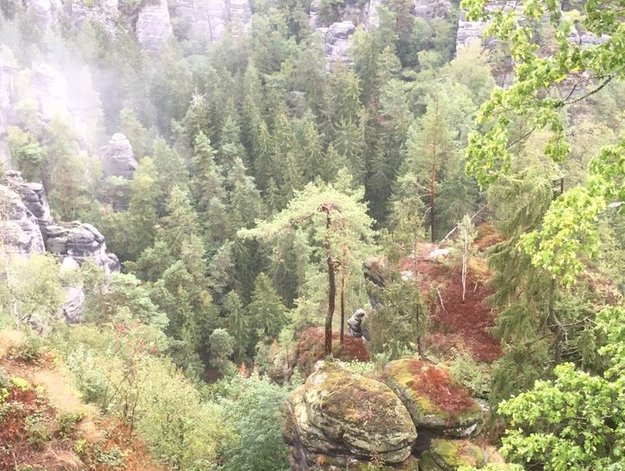 Hier sieht man eine schöne Naturansicht vom Elbsandsteingebirge.
